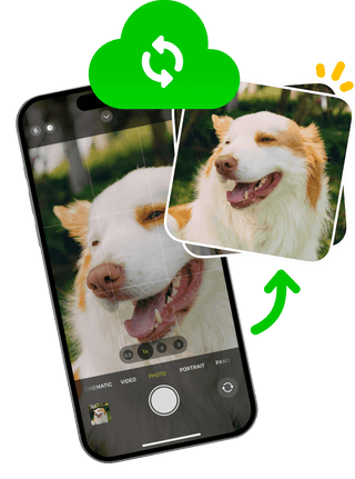 Background sync on Ente Photos Background sync on Ente Photos
