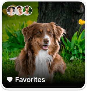 Sharing your Favorites on Ente Photos Sharing your Favorites on Ente Photos